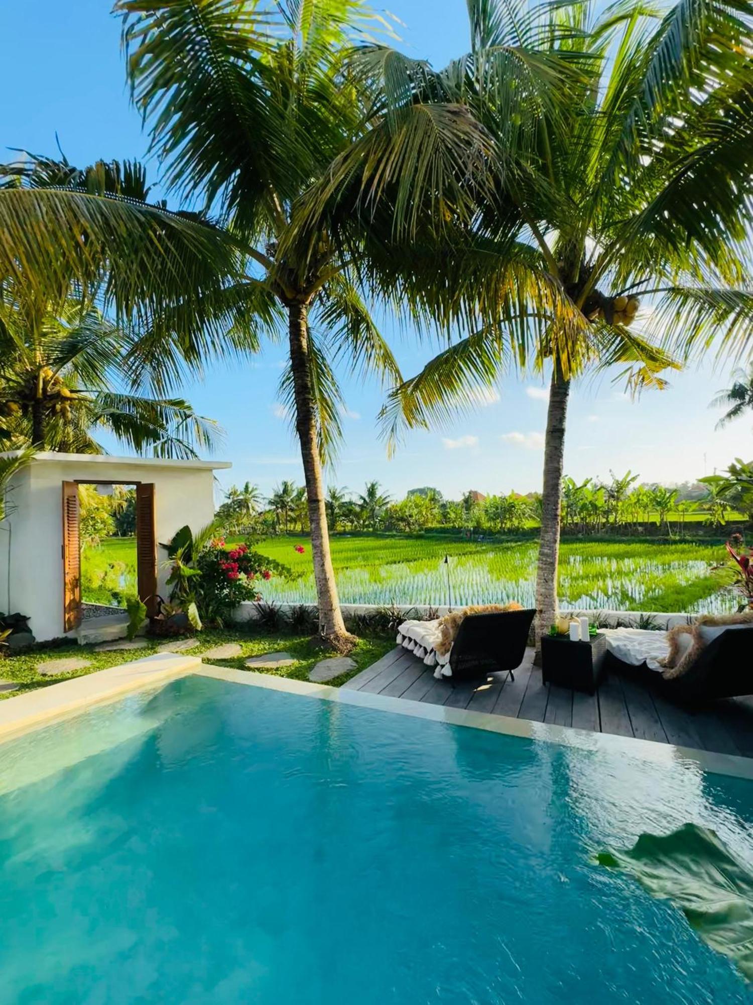 Villa Amara De'Vue Rice-Field Panoramic View W Pool Ig Ubud  Exterior photo